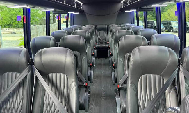 Coach Bus image 4